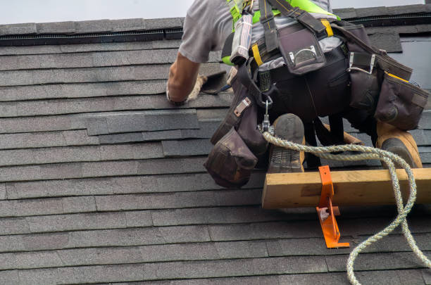 Best Metal Roofing Contractor  in Howard City, MI