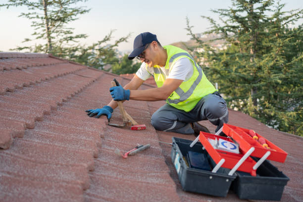 Best Flat Roof Repair Services  in Howard City, MI